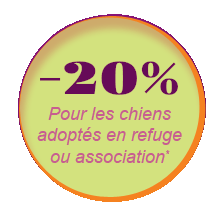 -20% pour les chiens adoptés en refuge ou association
