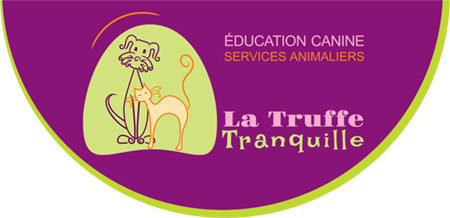 La Truffe Tranquille Education et comportement de chiens